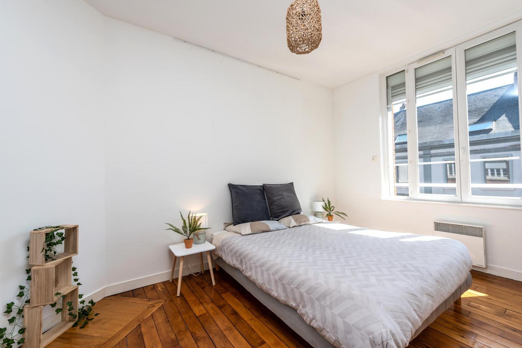Le Jacobin / 1 Chambre - Netflix - Hyper Centre Amiens Eksteriør billede